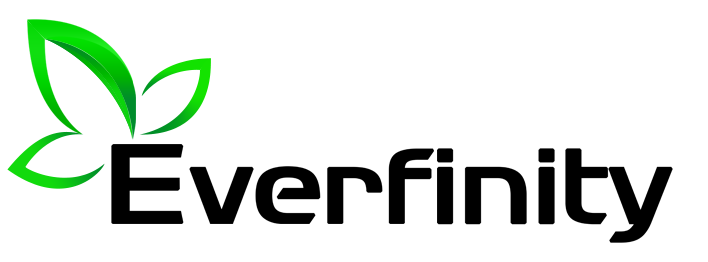 Everfinity Logo